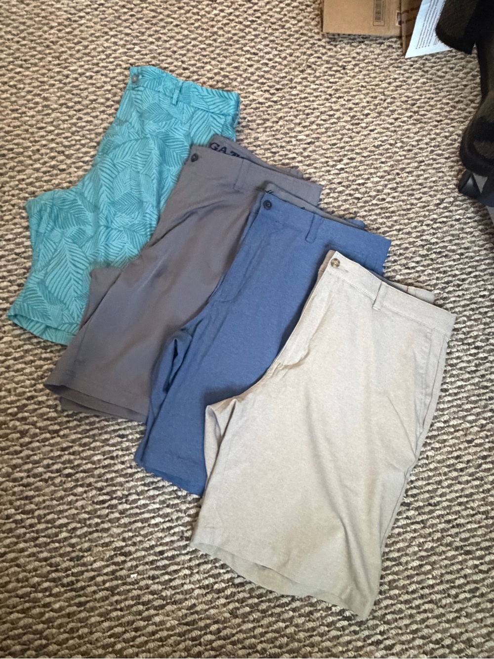 Mixed Men's Shorts Lot - Golf Shorts